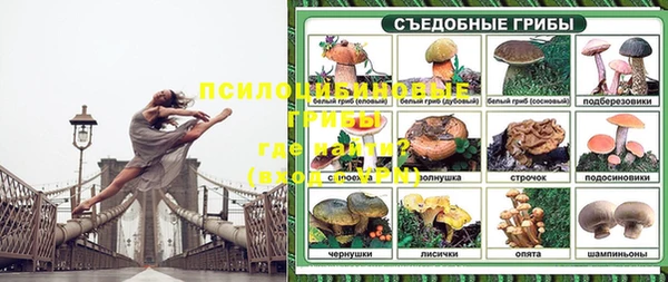 скорость Коряжма